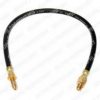 DELPHI LH0138 Brake Hose